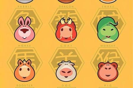 七手八脚的动物是什么生肖(七手八脚什么动物猜生肖)