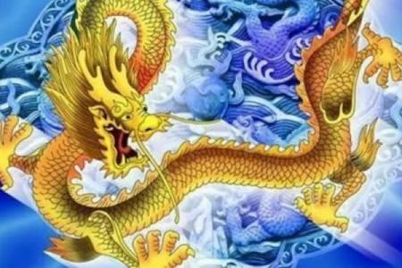 属龙的是哪年出生 属龙的是哪年出生的多大了