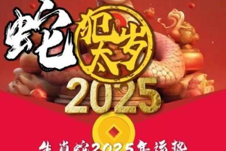 属龙人在2025年的全年运势_属龙人2025年蛇年全年运势详解