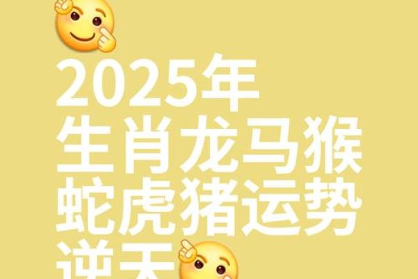 2025年属龙多大了_2025年属龙人的全年每月