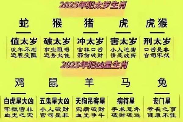 2025年属龙是多少岁 2025年属龙人年龄解析出生年份与岁数对照表