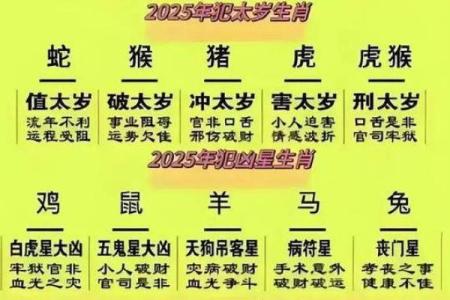 2025年属龙是多少岁 2025年属龙人年龄解析出生年份与岁数对照表