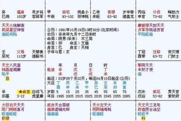 2025年3月25日丑时男命紫微斗数全解盘