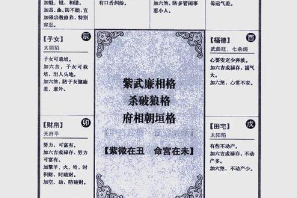 2025年3月7日子时男命紫微斗数全解盘