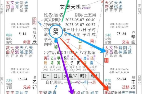 2025年3月28日子时女命紫微斗数全解盘