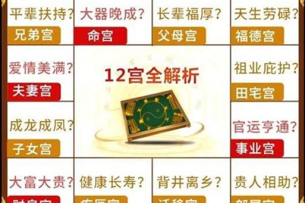2025年3月2日子时男命紫微斗数全解盘