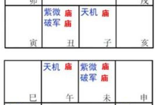 2025年3月19日寅时男命紫微斗数全解盘