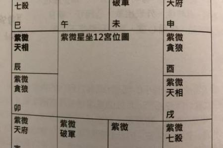 2025年3月21日寅时女命紫微斗数全解盘