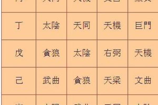 2025年3月30日子时男命紫微斗数全解盘