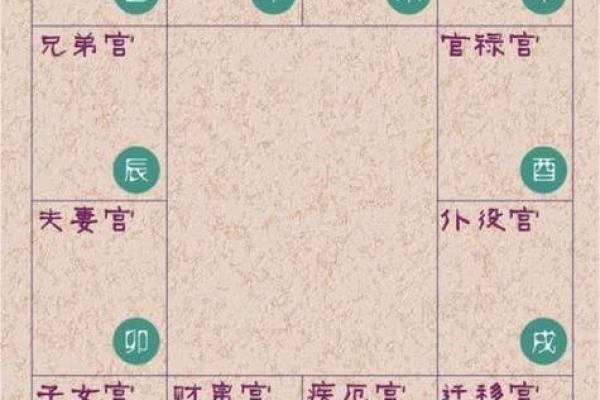2025年2月27日丑时女命紫微斗数全解盘