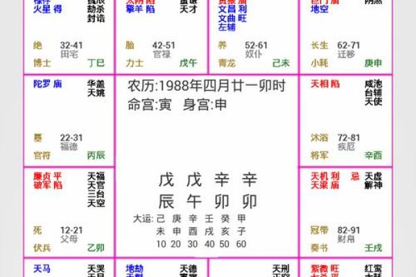 2025年2月17日子时女命紫微斗数全解盘