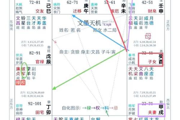 2025年3月26日丑时女命紫微斗数全解盘