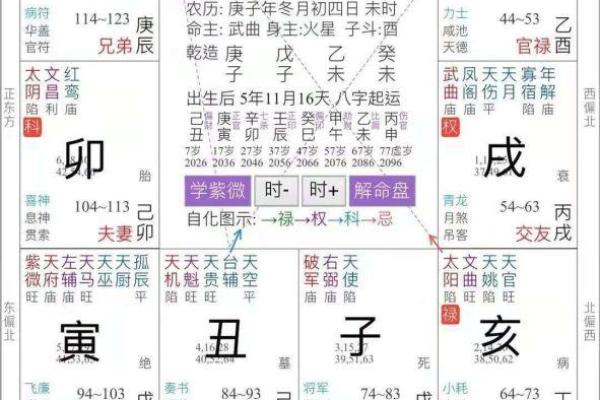 2025年3月13日子时男命紫微斗数全解盘