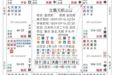 2025年3月6日丑时女命紫微斗数全解盘