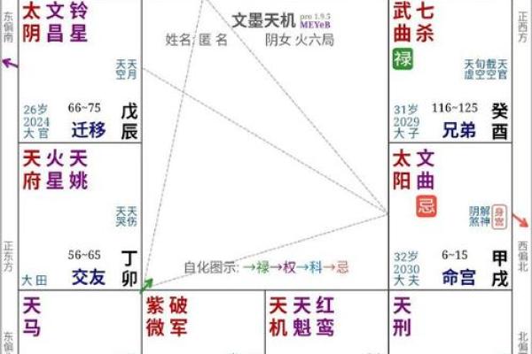 2025年3月17日子时女命紫微斗数全解盘