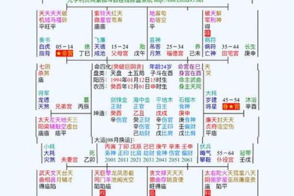 2025年3月24日寅时男命紫微斗数全解盘