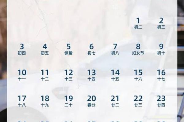 2025年2月28日寅时女命紫微斗数全解盘