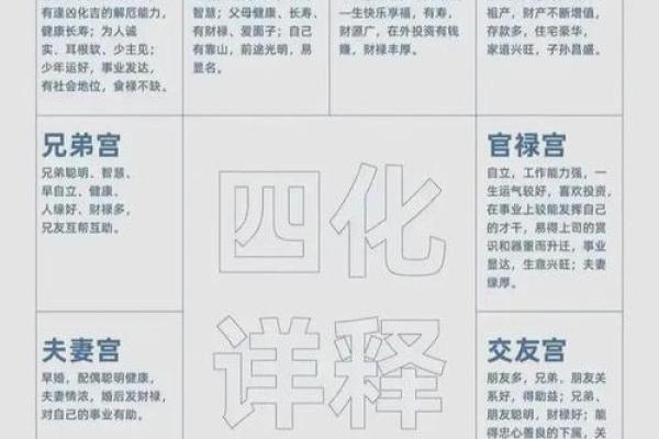 2025年3月19日丑时男命紫微斗数全解盘