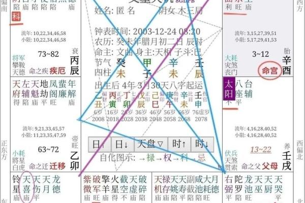 2025年3月22日丑时女命紫微斗数全解盘