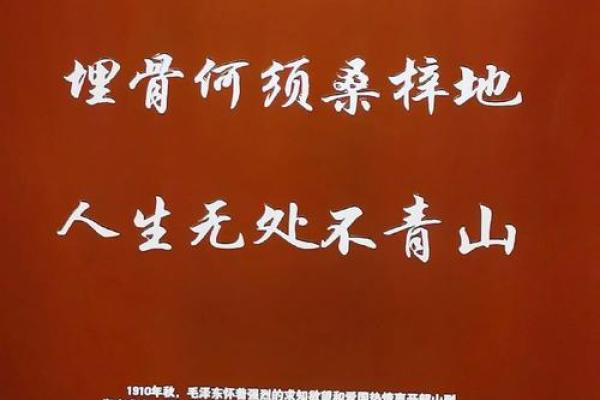 大江东去打一生肖