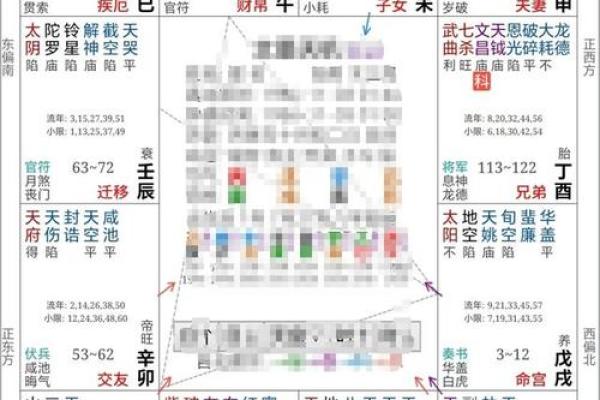 2025年2月19日子时女命紫微斗数全解盘