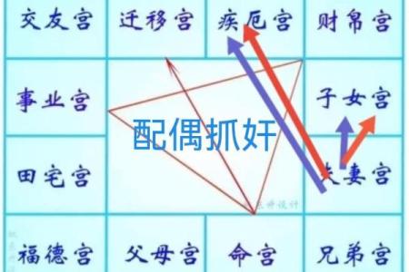 2025年3月2日丑时女命紫微斗数全解盘