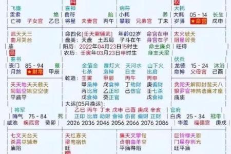 2025年3月4日丑时男命紫微斗数全解盘