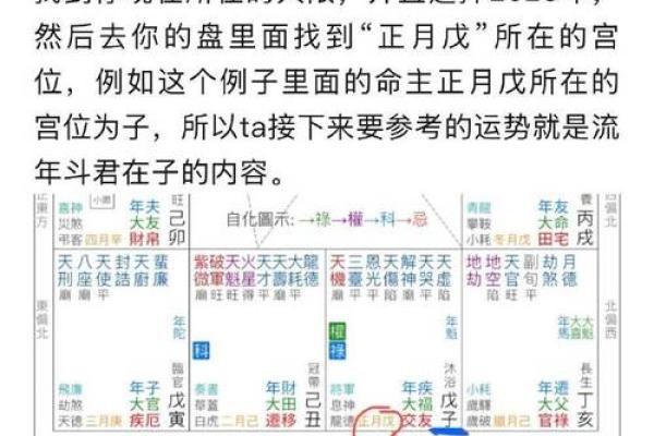 2025年3月15日丑时男命紫微斗数全解盘