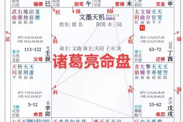 福德宫太阳化忌_福德宫太阳化忌精神病