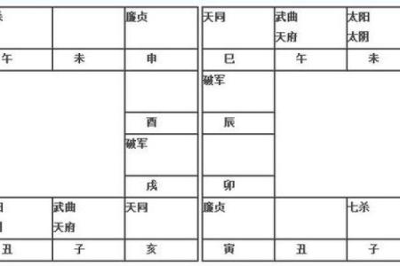 2025年3月1日寅时男命紫微斗数全解盘