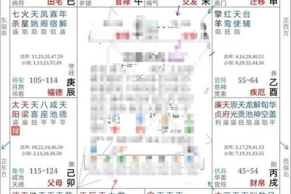 2025年2月21日寅时女命紫微斗数全解盘