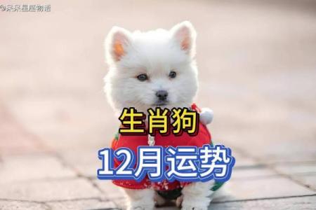 2022年属狗人的全年运势