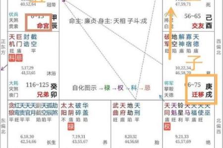 2025年2月26日丑时女命紫微斗数全解盘