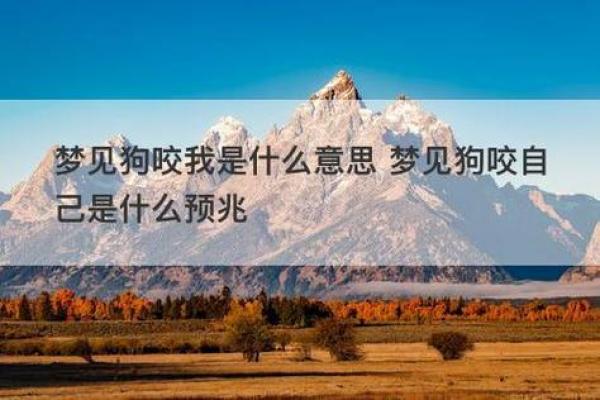 女人梦见狗是吉兆