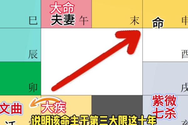 2025年2月22日丑时女命紫微斗数全解盘