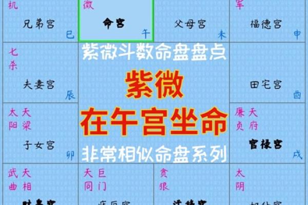 2025年3月4日寅时男命紫微斗数全解盘