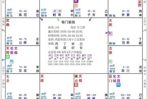 2025年3月25日子时男命紫微斗数全解盘