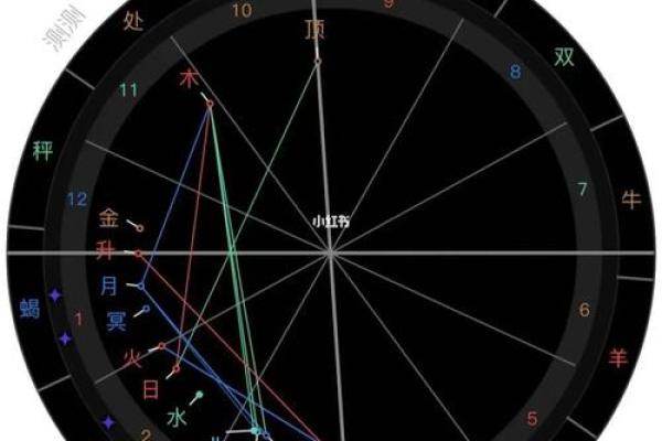 2025年2月22日丑时男命紫微斗数全解盘