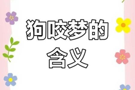 梦见狗咬我但是没咬到是什么预兆