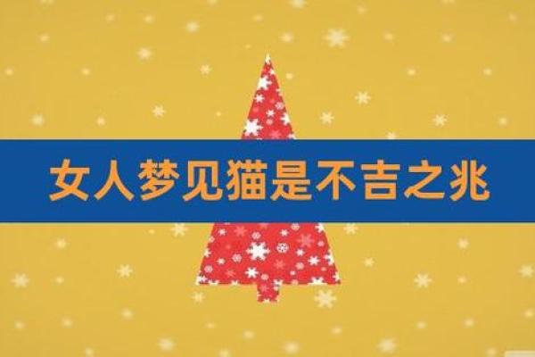 女人梦见猫说明老公有外遇