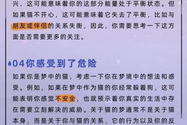 已婚中年女人梦见猫