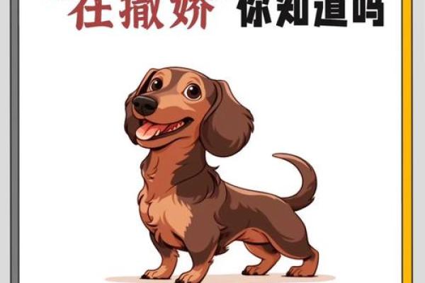 梦见小狗和自己特别亲近