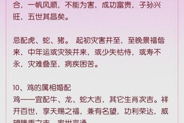 1999年最佳婚配属相