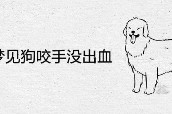 梦见被狗咬到手