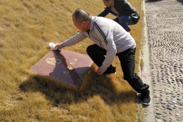 万古长青打一生肖