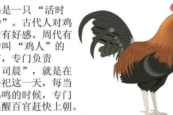 卸磨杀驴是什么生肖