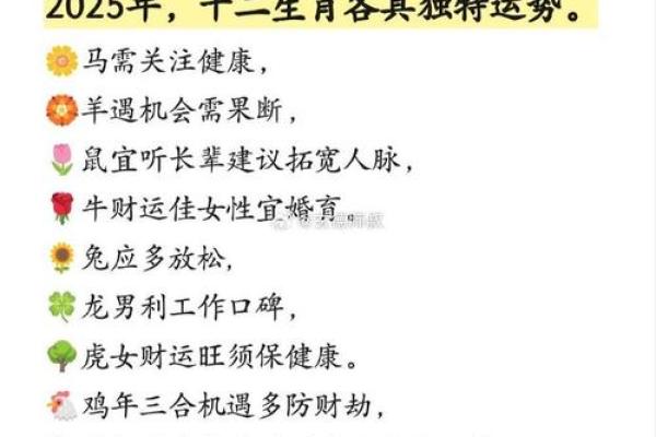 78年属马女2025年运势和财运怎么样_78年属马女2025年运势财运全解析事业健康运程预测