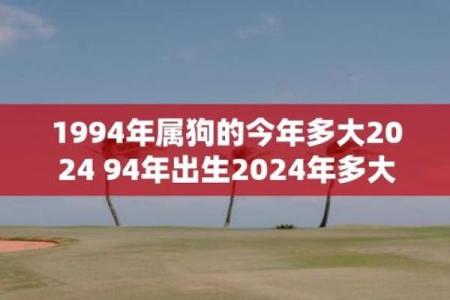 94年属狗女2025年运势和婚姻 94年狗女一生婚姻如何