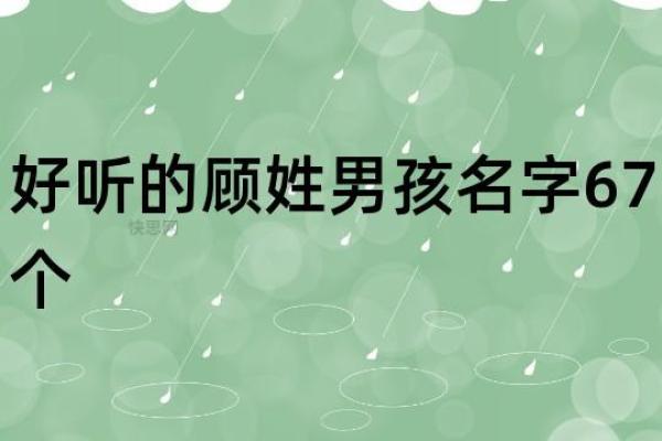 顾姓男孩名字大全-顾姓男孩起名字大全-顾姓名字大全姓名