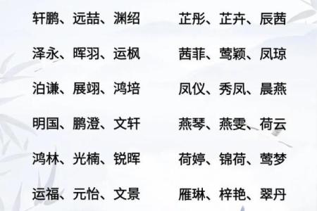 2019年4月7号卯时出生的男孩要怎么起名字姓名